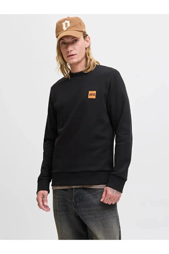 Resim Jack & Jones Jjbrandy Sweat Crew Neck Ln Erkek Sweat 12279256