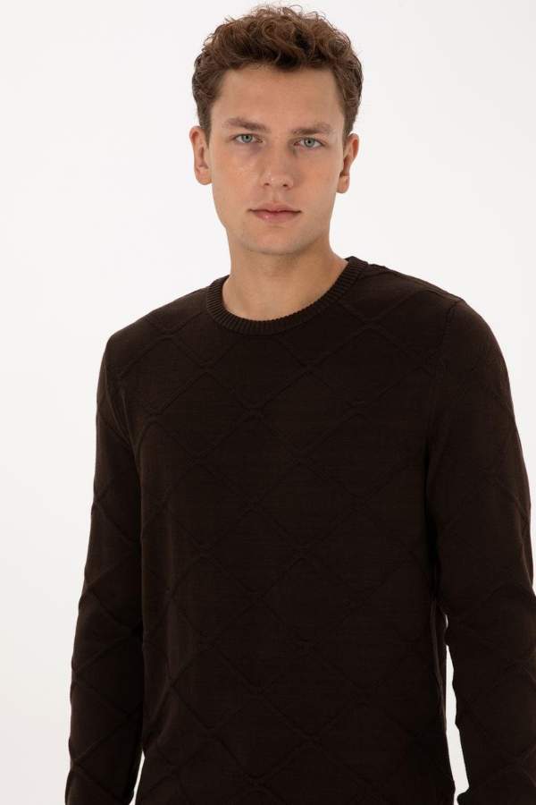 Resim 2227891 Lemus U.S Polo Assn. Erkek Kazak