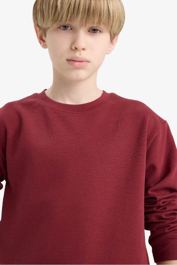 Resim Defacto Erkek Çocuk Sweat E9661A8/BR194