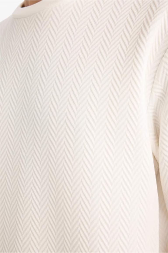 Resim Defacto Erkek Sweat F9854AX/WT32