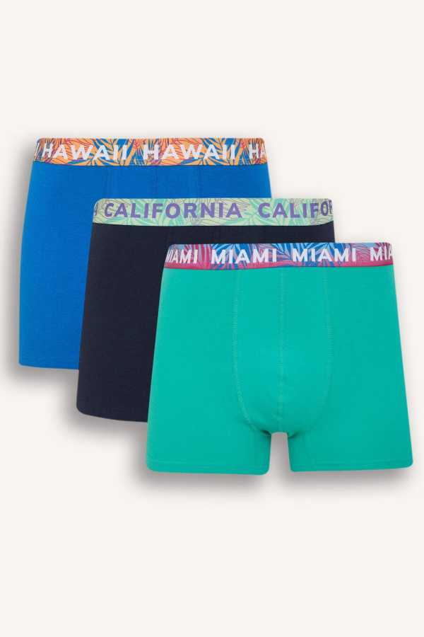 Resim Defacto Erkek Boxer&Külot D9874AX/NV135