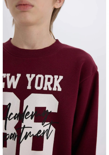 Resim Defacto Erkek Çocuk  Sweat Takım E1935A8/BR115