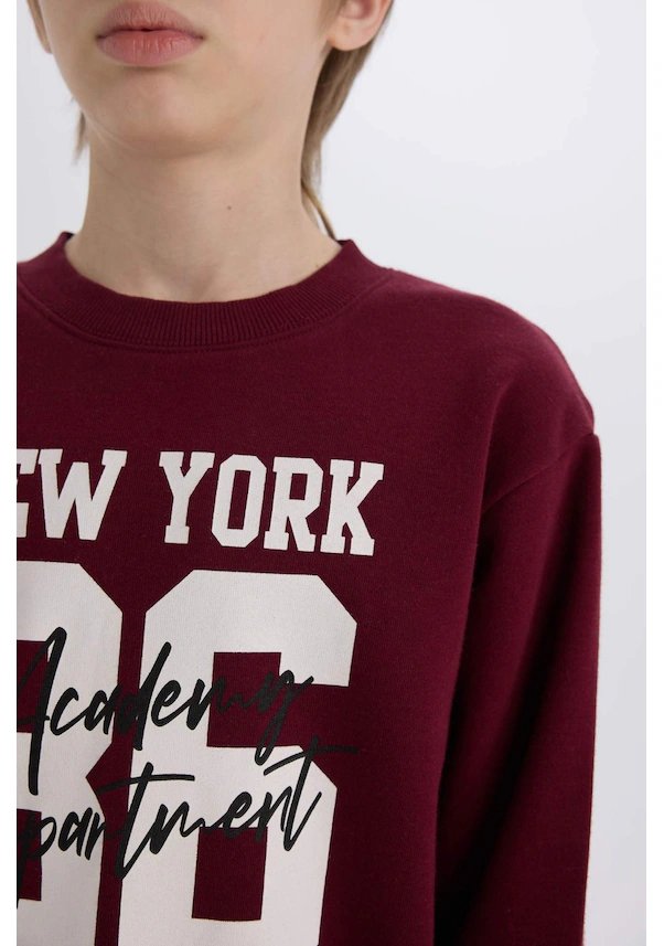 Resim Defacto Erkek Çocuk  Sweat Takım E1935A8/BR115