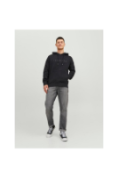 Resim Jack & Jones Jjestar Jj Sweat Hood Noos Erkek Sweat 12233972