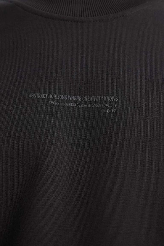 Resim Defacto Erkek  Sweat X8282AZ/BK81