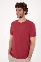 Resim 2107313 Lenhar Us Polo Assn Erkek T-Shirt