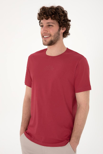 Resim 2107313 Lenhar Us Polo Assn Erkek T-Shirt