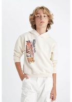 Resim Defacto Erkek Çocuk  Sweat C9824A8/ER103
