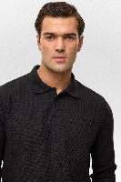 Resim SW2013700017 Polo Yaka Erkek Sweat