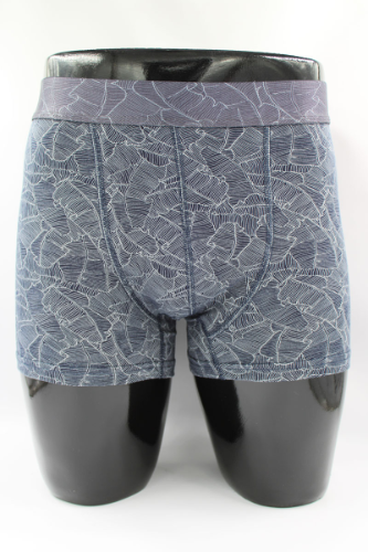 Resim Yenikoza Erkek Boxer