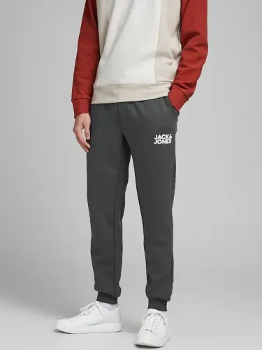 Resim Jack & Jones Jpstgordon Jjnewsoft Noos Erkek Eşofman Alt 12178421