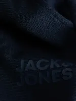 Resim Jack & Jones Jpst Gordon Newplush Sweat Pant Erkek Eşofman Alt 12290437