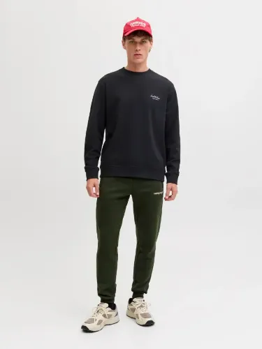 Resim Jack & Jones Jjearchıve Graphıc Sweat Crew Neck Noos Erkek Sweat 12287995