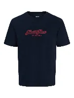 Resim Jack & Jones Jorcatskılls Tee Ss Cn Fst Erkek T-Shirt 12297893