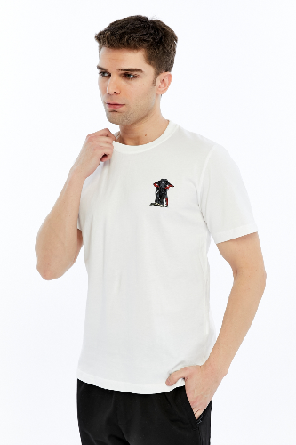 Resim Yenikoza Erkek T-shirt