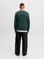 Resim Jack & Jones Jjaero Sweat Crew Neck Erkek Sweat 12298492