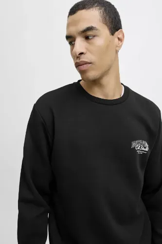 Resim Jack & Jones Jjmakoto Sweat Crew Neck Erkek Sweat 12278601