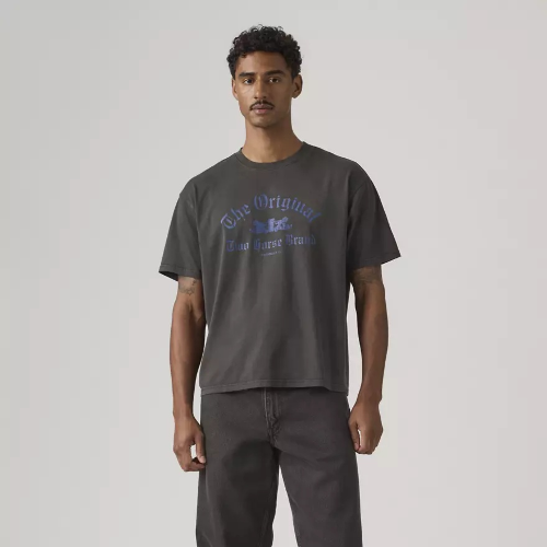 Resim Levis Erkek T-shirt