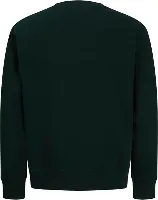 Resim Jack & Jones Jjmunk Sweat Crew Neck Sn Erkek Sweat 12298431