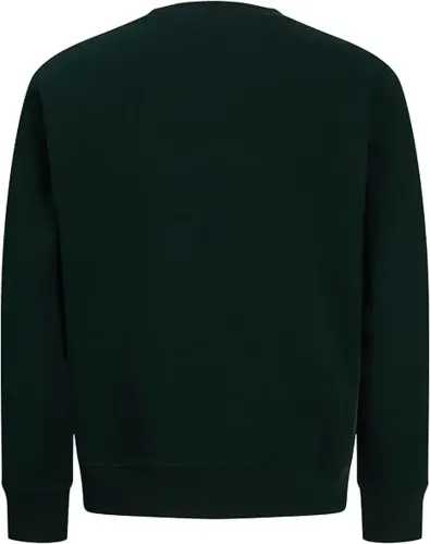 Resim Jack & Jones Jjmunk Sweat Crew Neck Sn Erkek Sweat 12298431