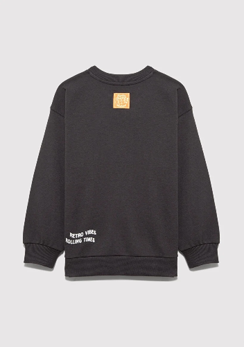 Resim Mavi Erkek Çocuk Sweat M6S10179-70087