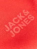 Resim Jack & Jones Jorlogo Sweat Crew Neck Tr Ss25 Erkek Sweat 12290659