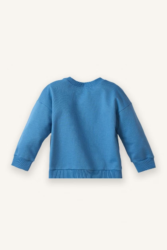 Resim Defacto Erkek Bebek Sweat G6343A5/BE534