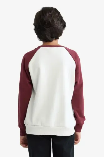 Resim Defacto Erkek Çocuk Sweat F2707A8/ER136
