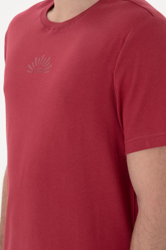 Resim 2107313 Lenhar Us Polo Assn Erkek T-Shirt