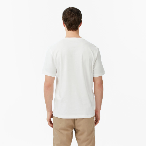 Resim NAUTİCA Erkek T-shirt