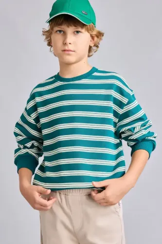 Resim Defacto  Erkek Çocuk Sweat H9694A8/GN265