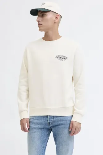 Resim Jack & Jones Jjmakoto Sweat Crew Neck Erkek Sweat 12278601