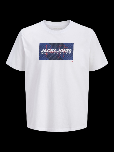 Resim Jack & Jones Jjcole Prınt Tee Ss Crew Neck Ln Erkek T-Shirt 12288492