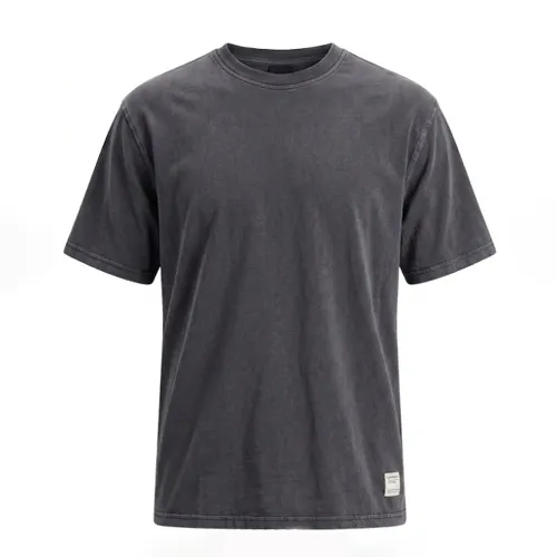 Resim Lumberjack Erkek T-shirt A102064490 MB C NECK 11BS38 6FX