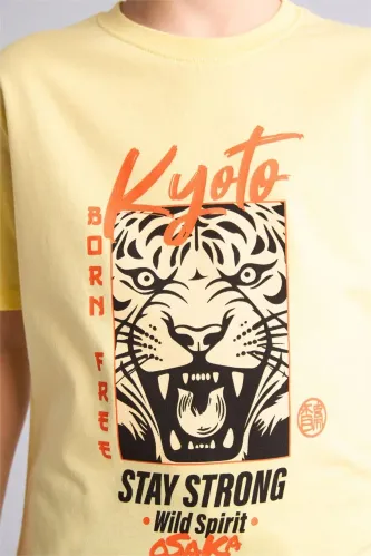 Resim Defacto Erkek Çocuk T-shirt H4513A8/YL92