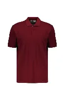 Resim Süvari Polo Yaka Pike Regular T-shirt TS1014000473