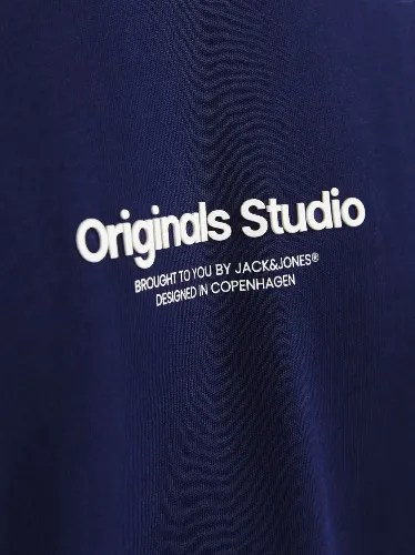 Resim Jack & Jones Jorvesterbro Tee Ss Crew Neck Noos Erkek T-Shirt 12240121