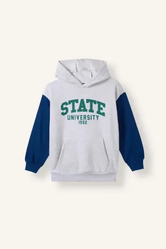 Resim Defacto  Erkek Çocuk Sweat I3178A8/GR400