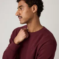 Resim Levis Erkek Sweat