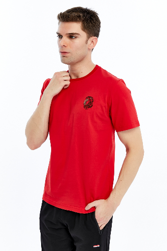 Resim Yenikoza Erkek T-shirt