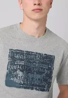 Resim Levis Erkek T-shirt