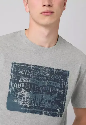 Resim Levis Erkek T-shirt
