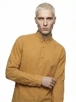 Resim Loft Regular Fit Erkek Gömlek Lf2039536