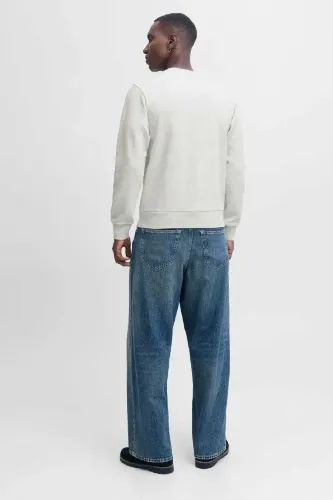 Resim Jack & Jones Jjpan Sweat Crew Neck Smu Erkek Sweat 12310759