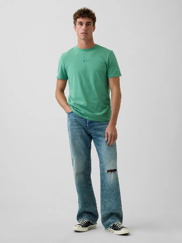 Resim GAP Erkek T-shirt