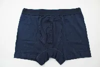 Resim Yenikoza Erkek Boxer