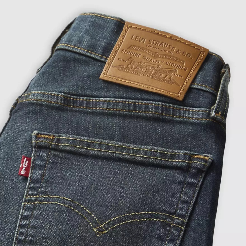 Resim Levis Kadın Jean