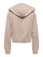 Resim Only Onlgıgı Ls Short Hoodıe Cc Knt Kadın Kazak 15374935