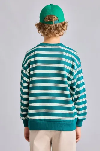 Resim Defacto  Erkek Çocuk Sweat H9694A8/GN265