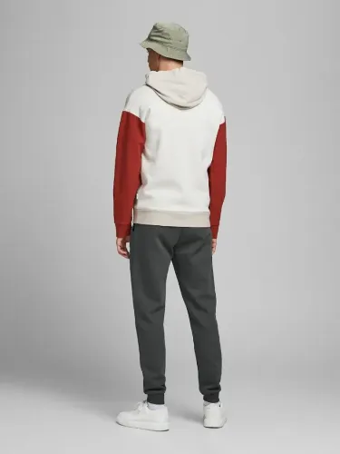 Resim Jack & Jones Jpstgordon Jjnewsoft Noos Erkek Eşofman Alt 12178421